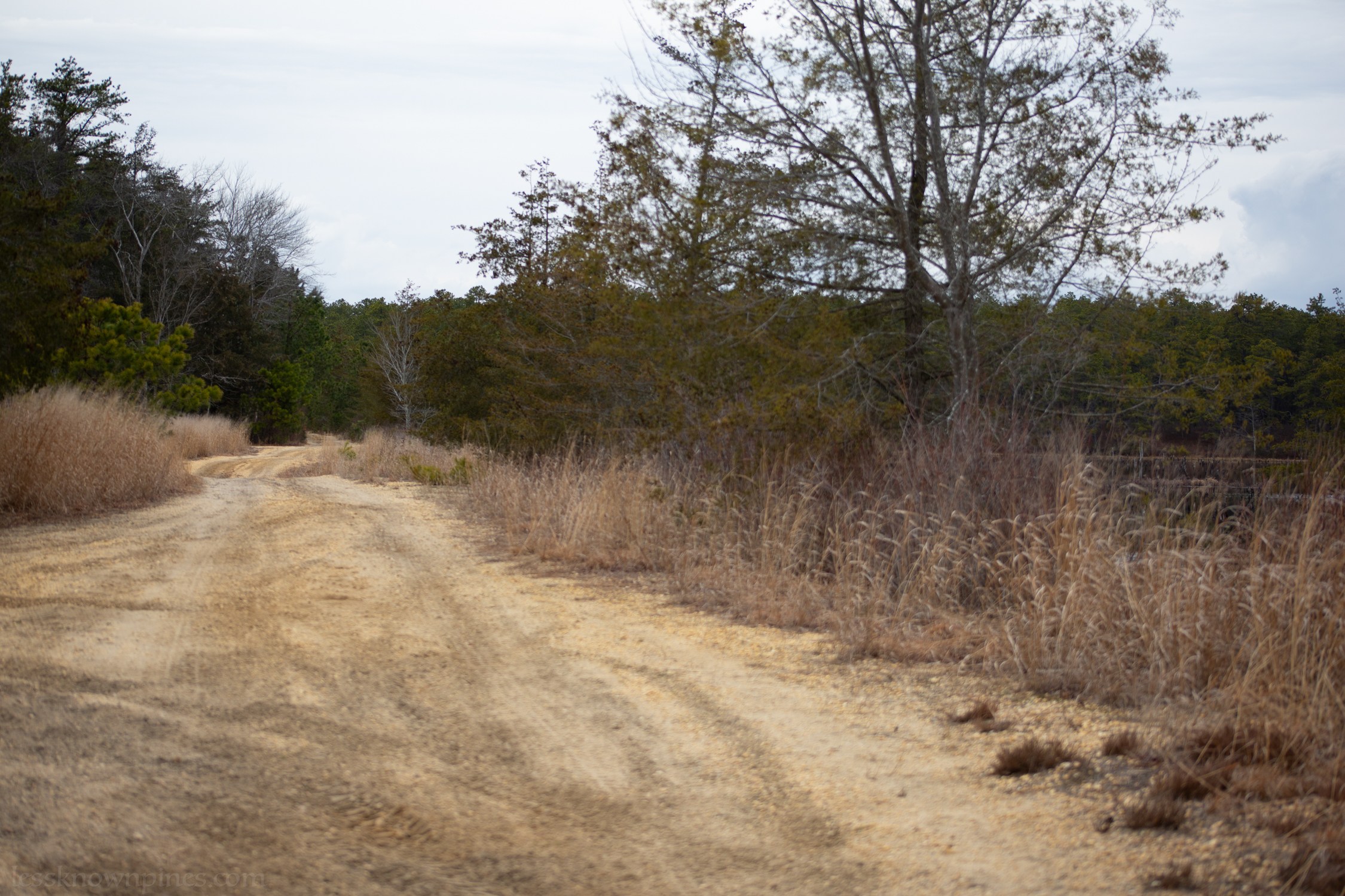 Bumpy trail