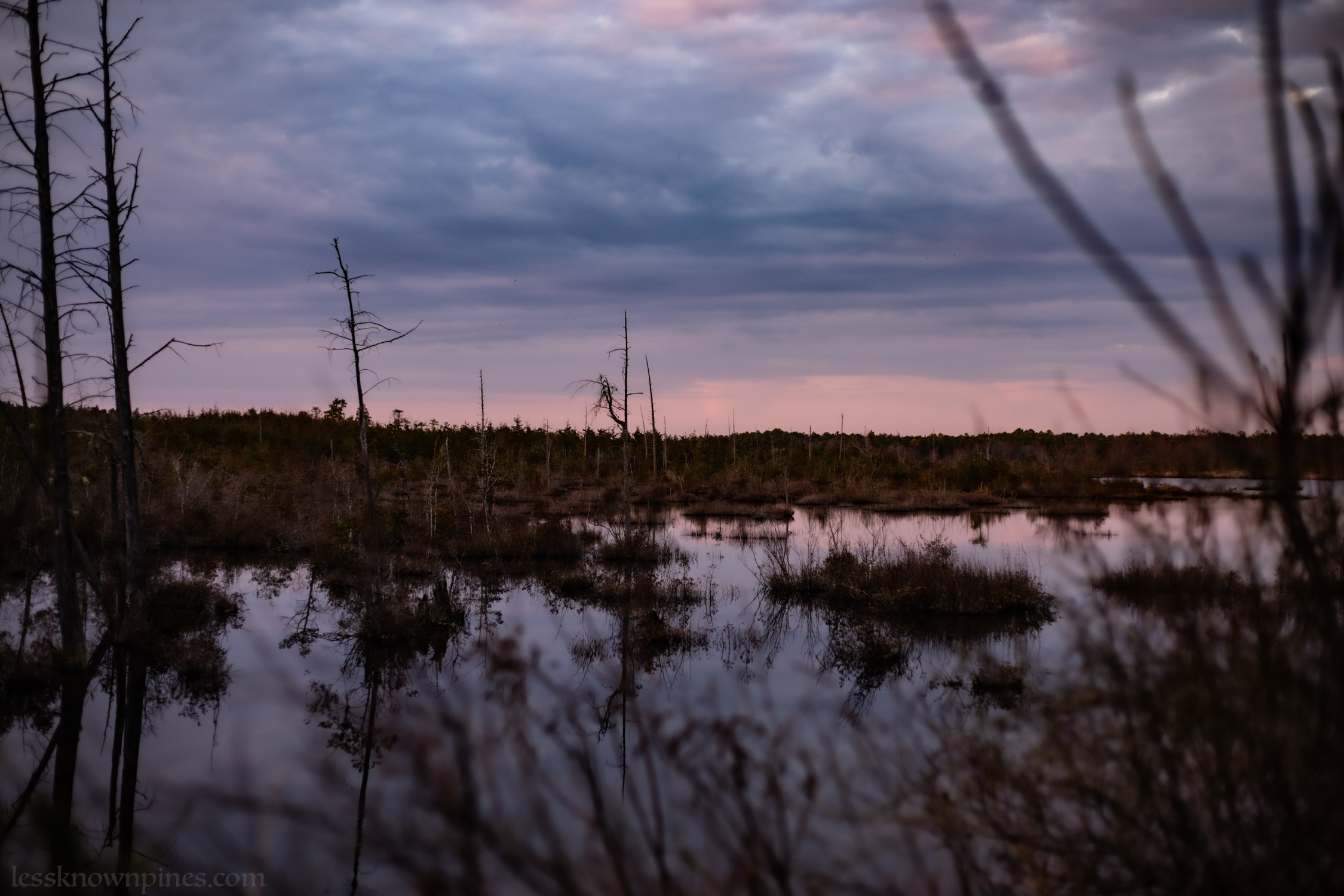 Evening spring wading river pond