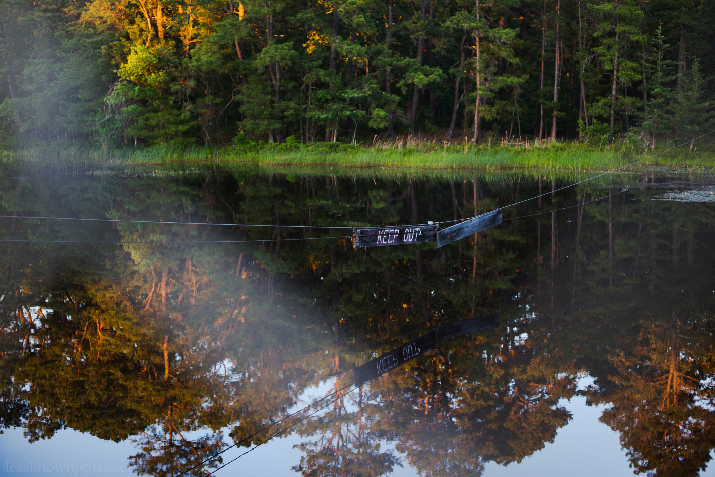 Harrisville Pond edge