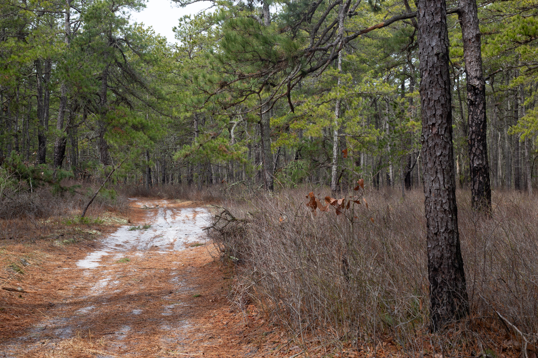 Loose sand trail curves ahead