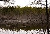Northern part thumbnail
