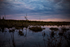 Wading River thumbnail