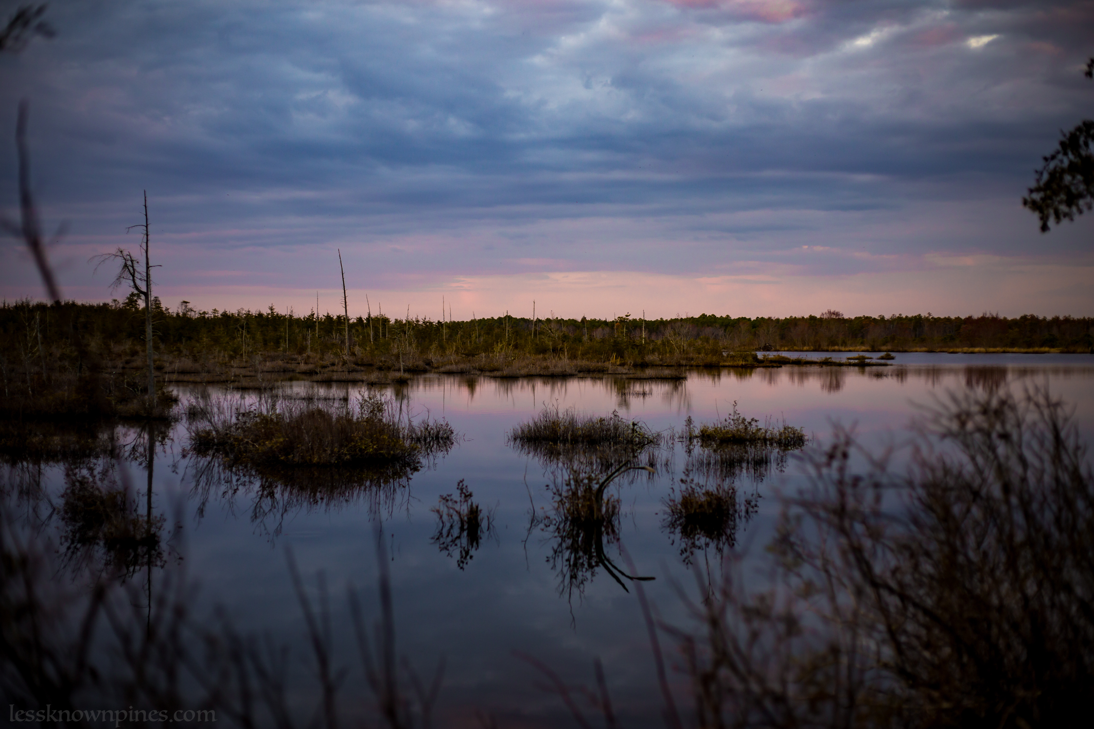 Wading River Cedar Pond