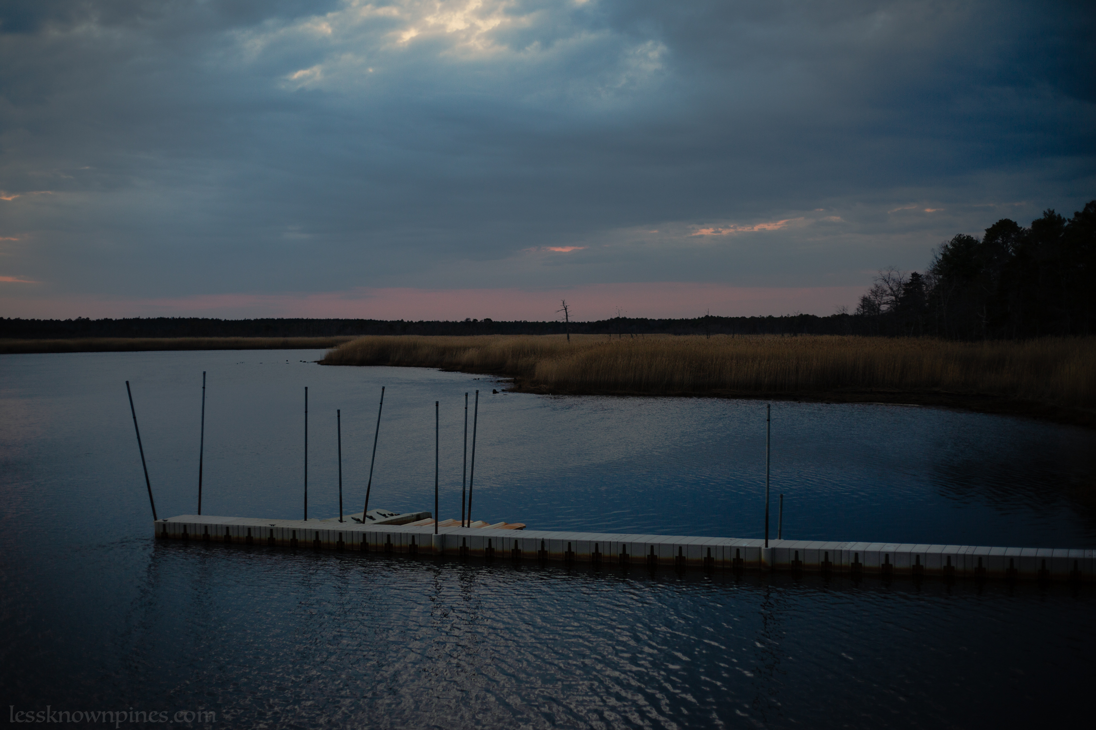 Dock and marsh