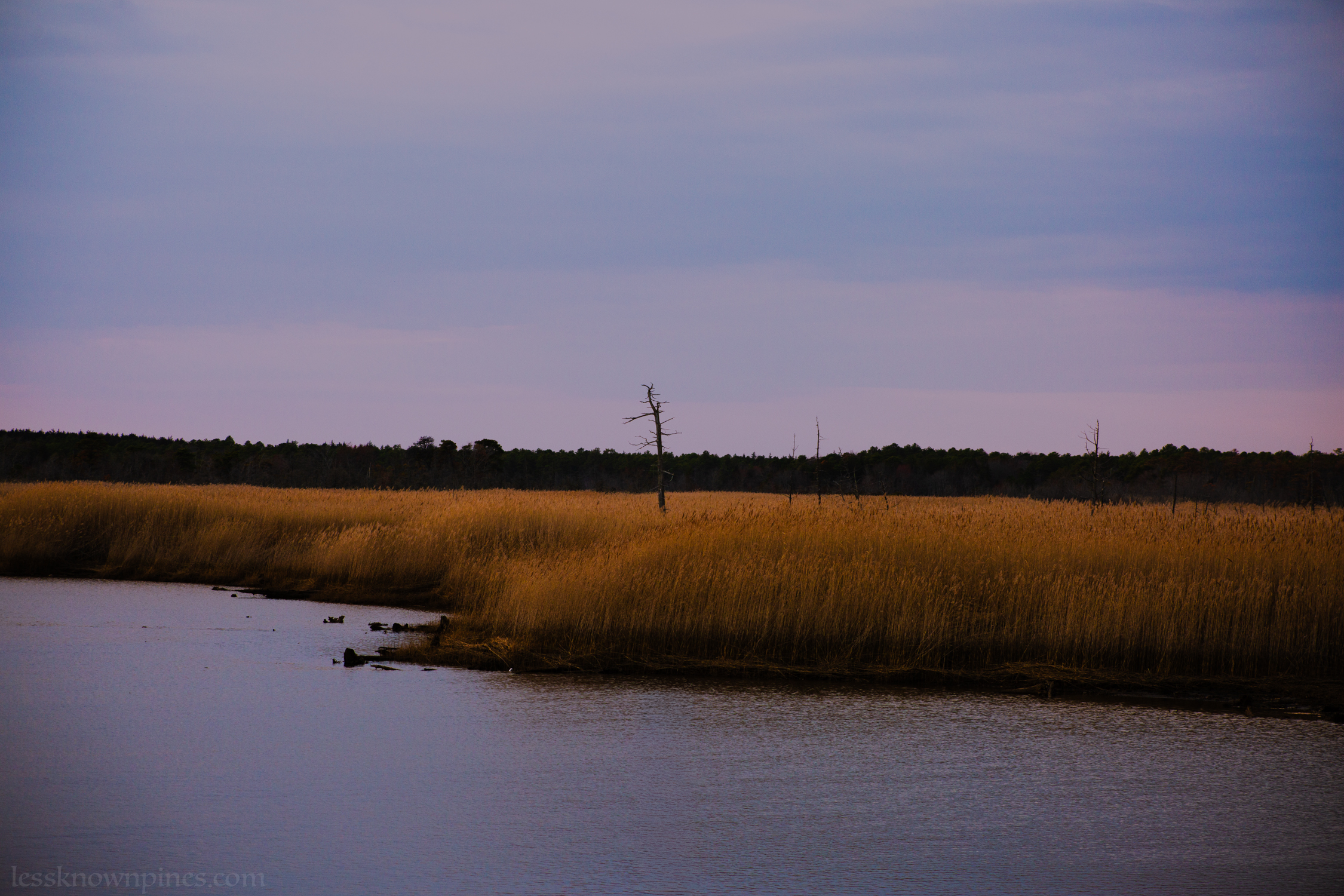 Wading River marsh