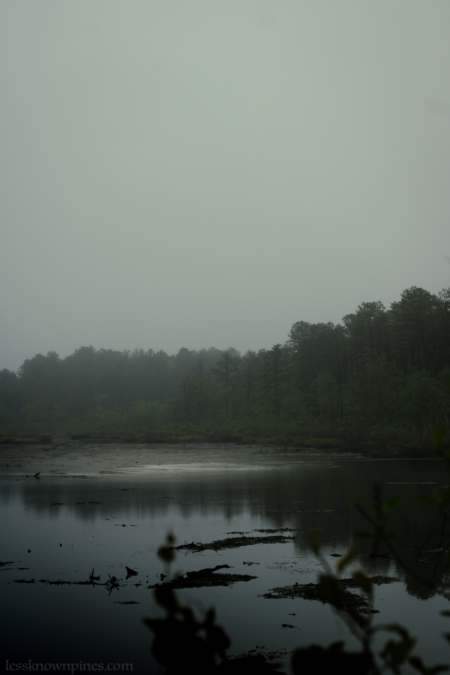 Civil twilight cedar fog