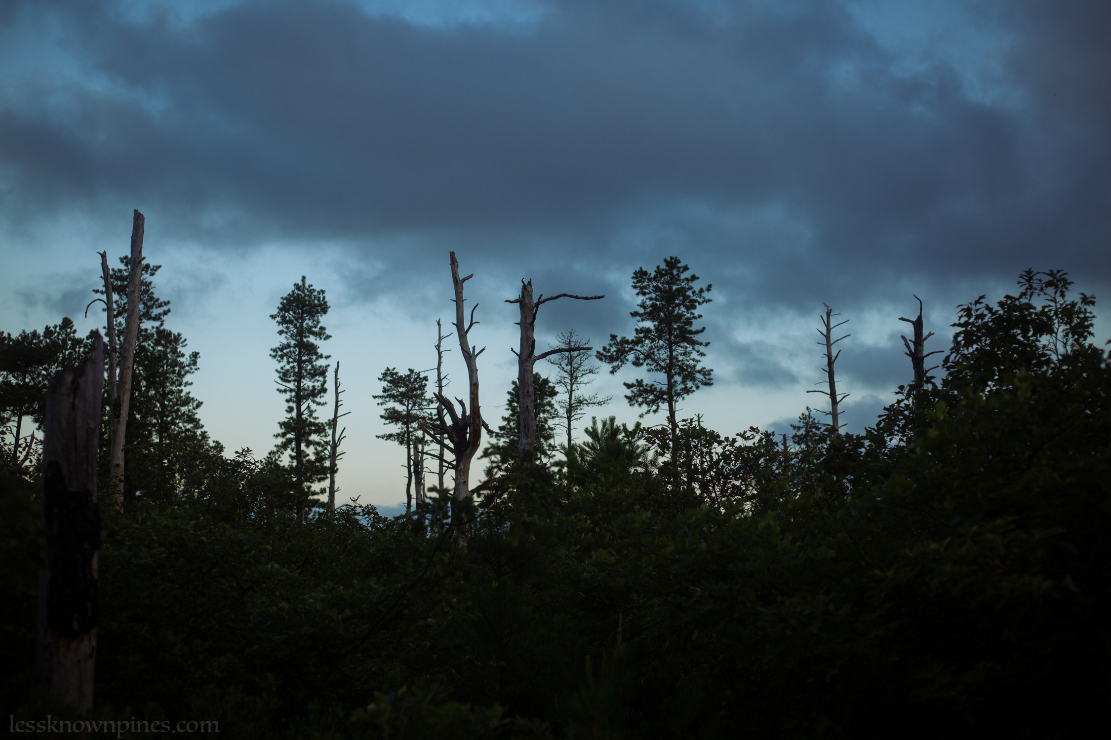 Clpudy afternoon at high point