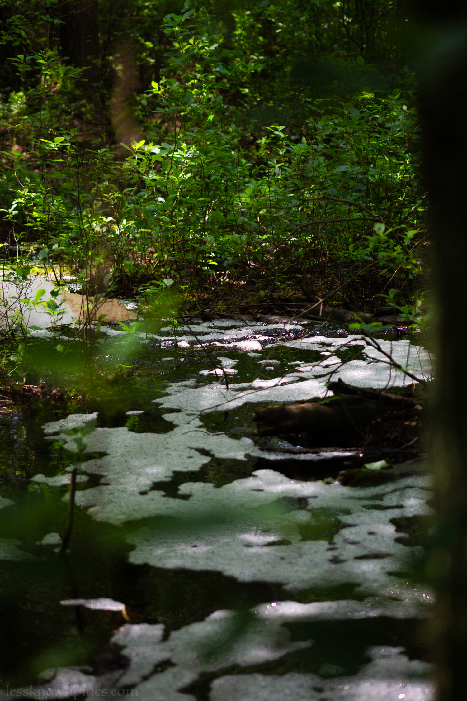 High point irrigation flow