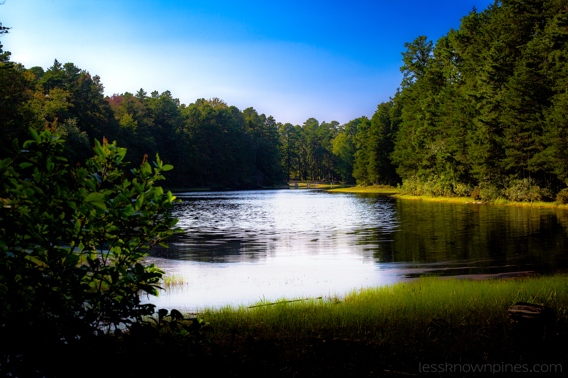 Pakim Pond at Brendan T. Byrne State forest