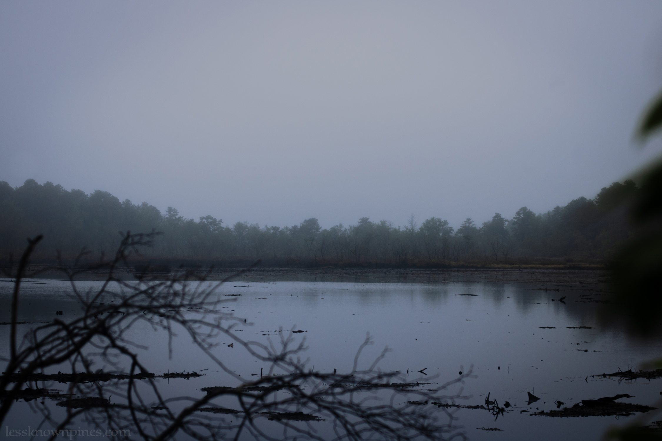 Hidden hollow treasure