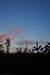 Brendan T. Byrne State Forest thumbnail