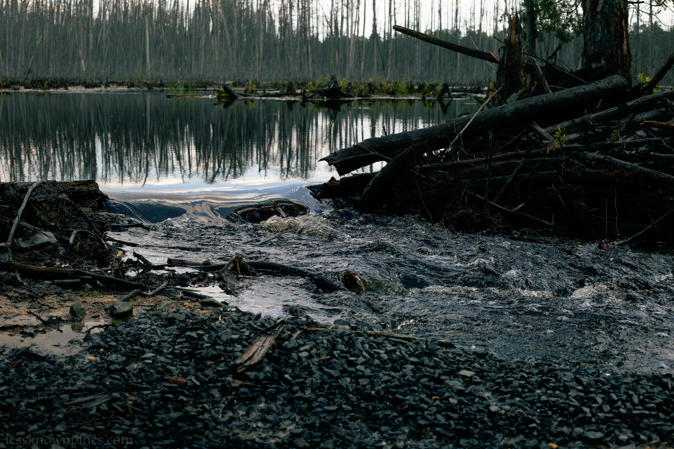 Water flow refracted by gravel and rocks