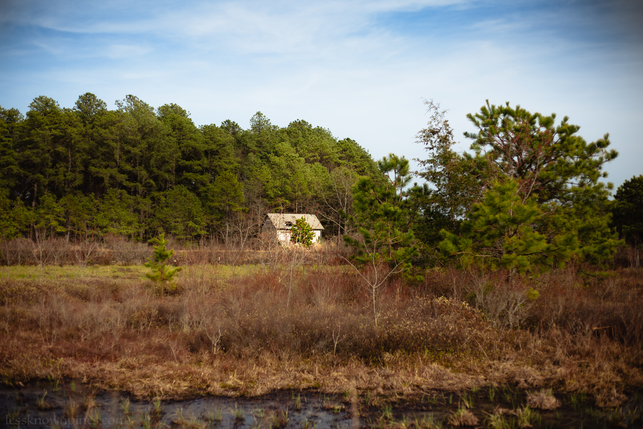 Shed at marshland