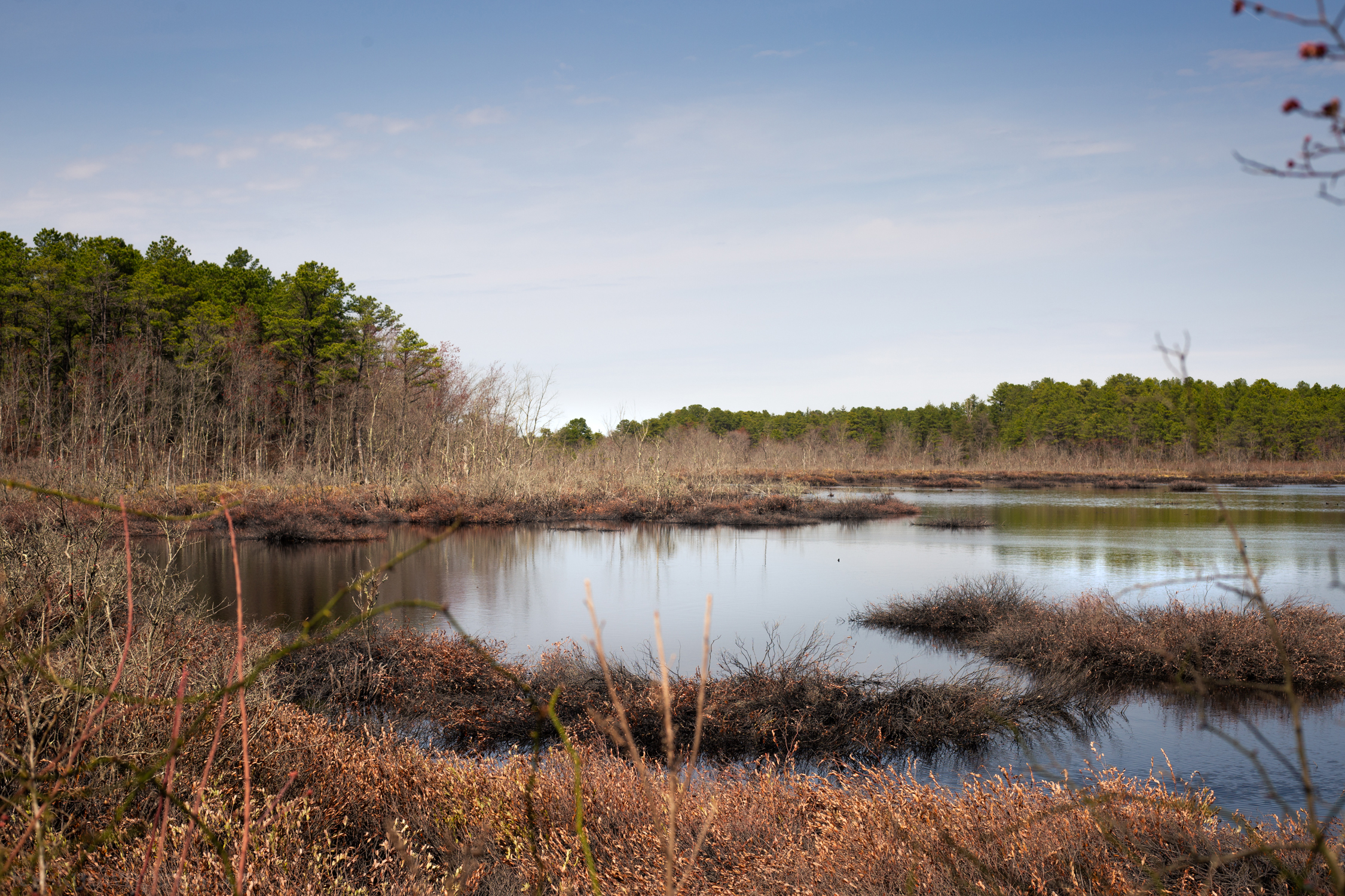 Cedar lake channeling water