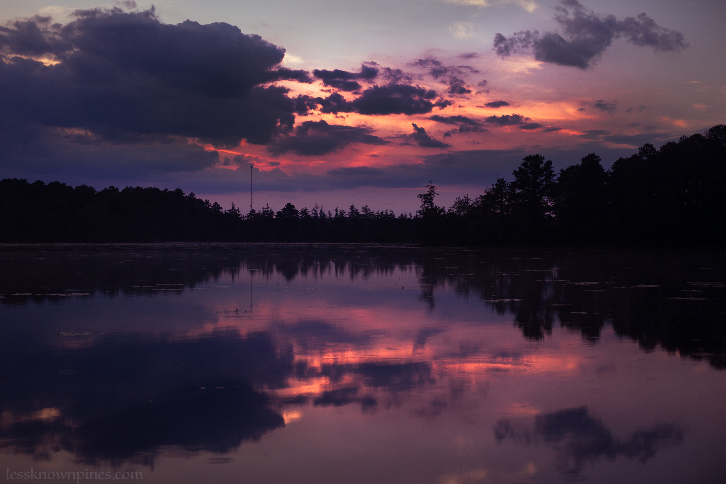 Sunset over pond