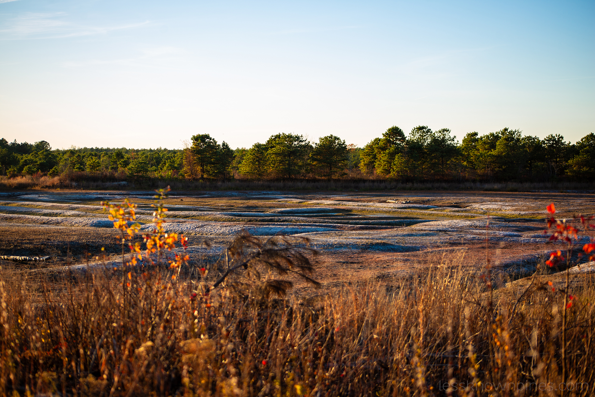 Swamp after drought of 2024