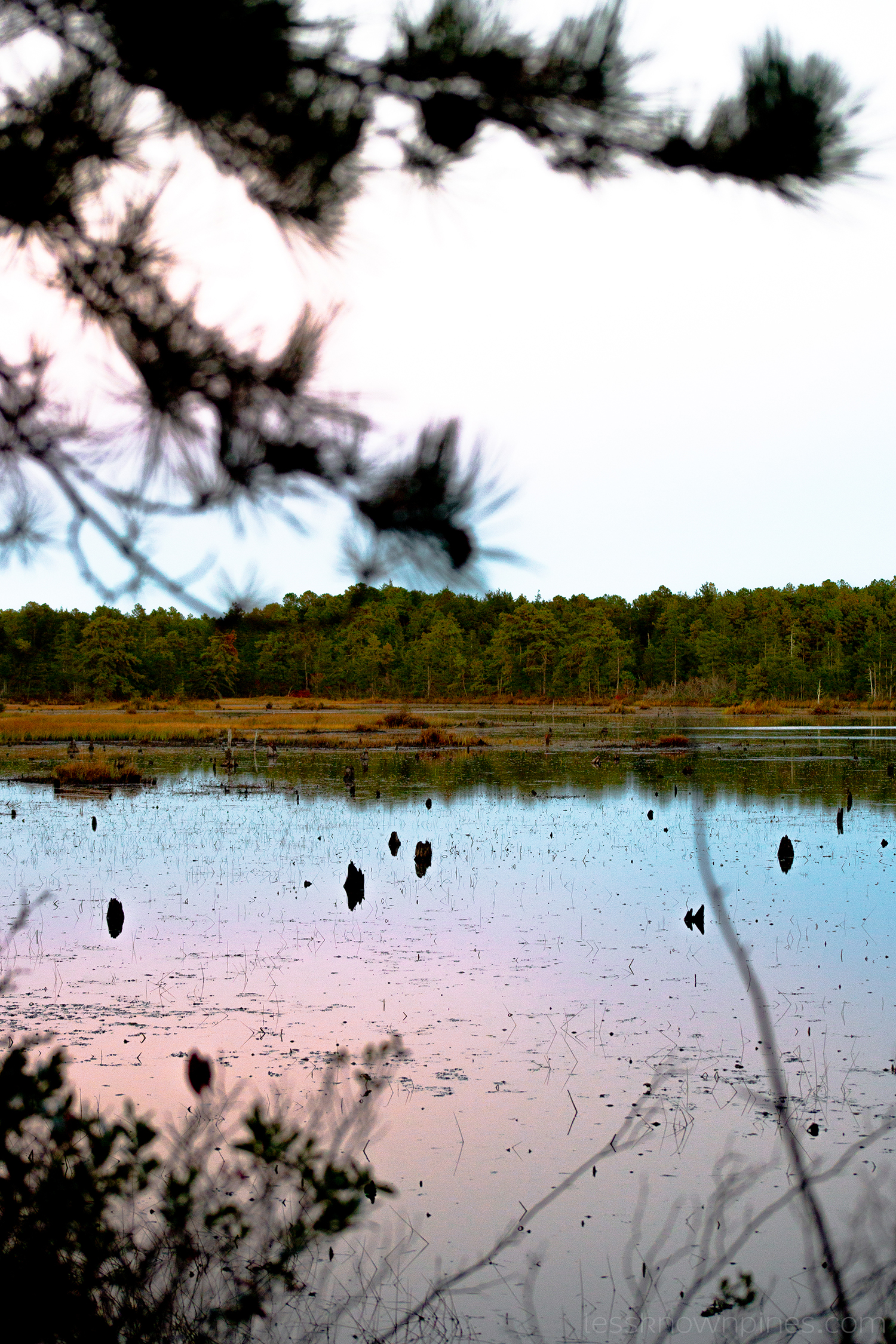 Pond during civil twilight