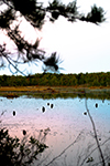 Franklin Parker Preserve thumbnail