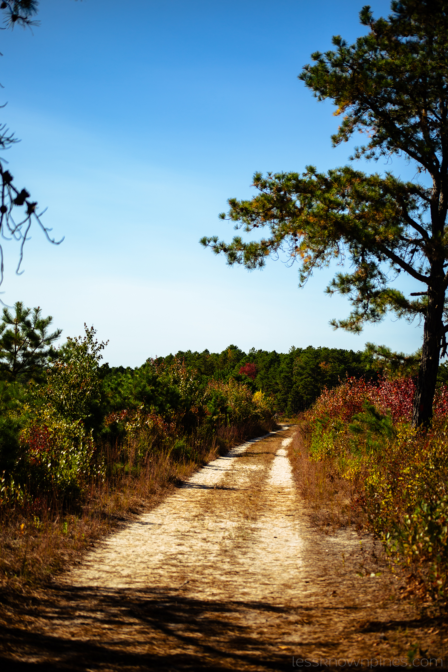 About Us - Franklin Parker Preserve