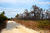 Greenwood WMA thumbnail