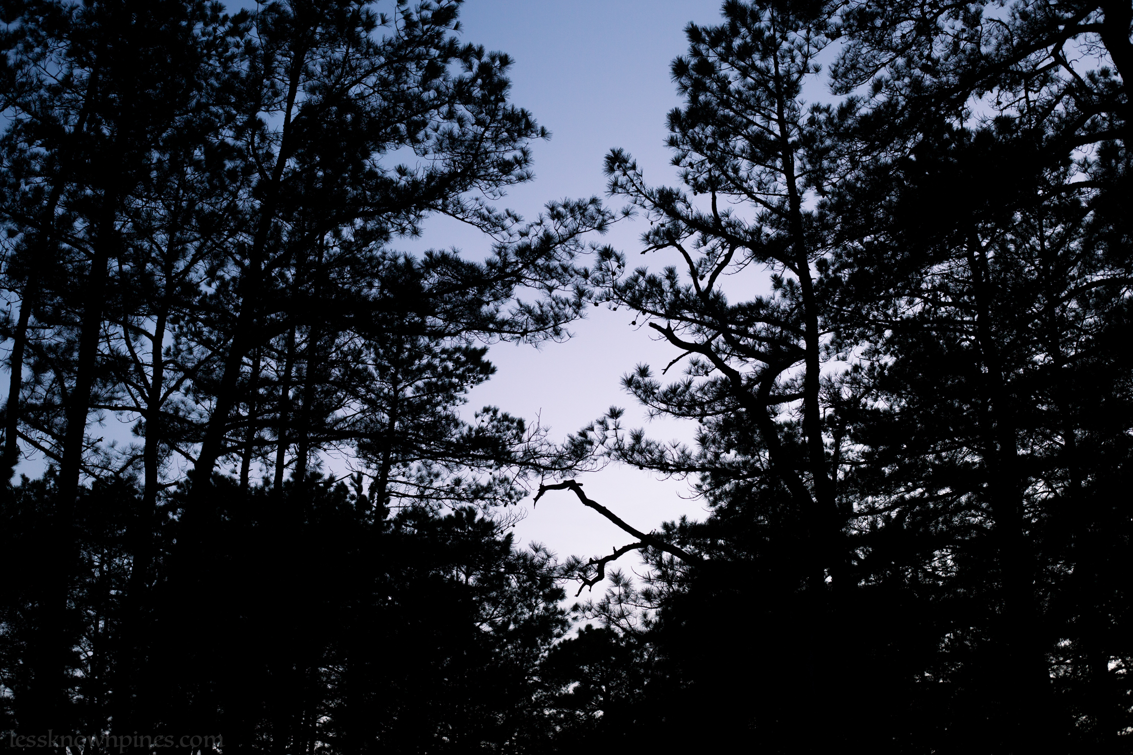 Twilight uplands