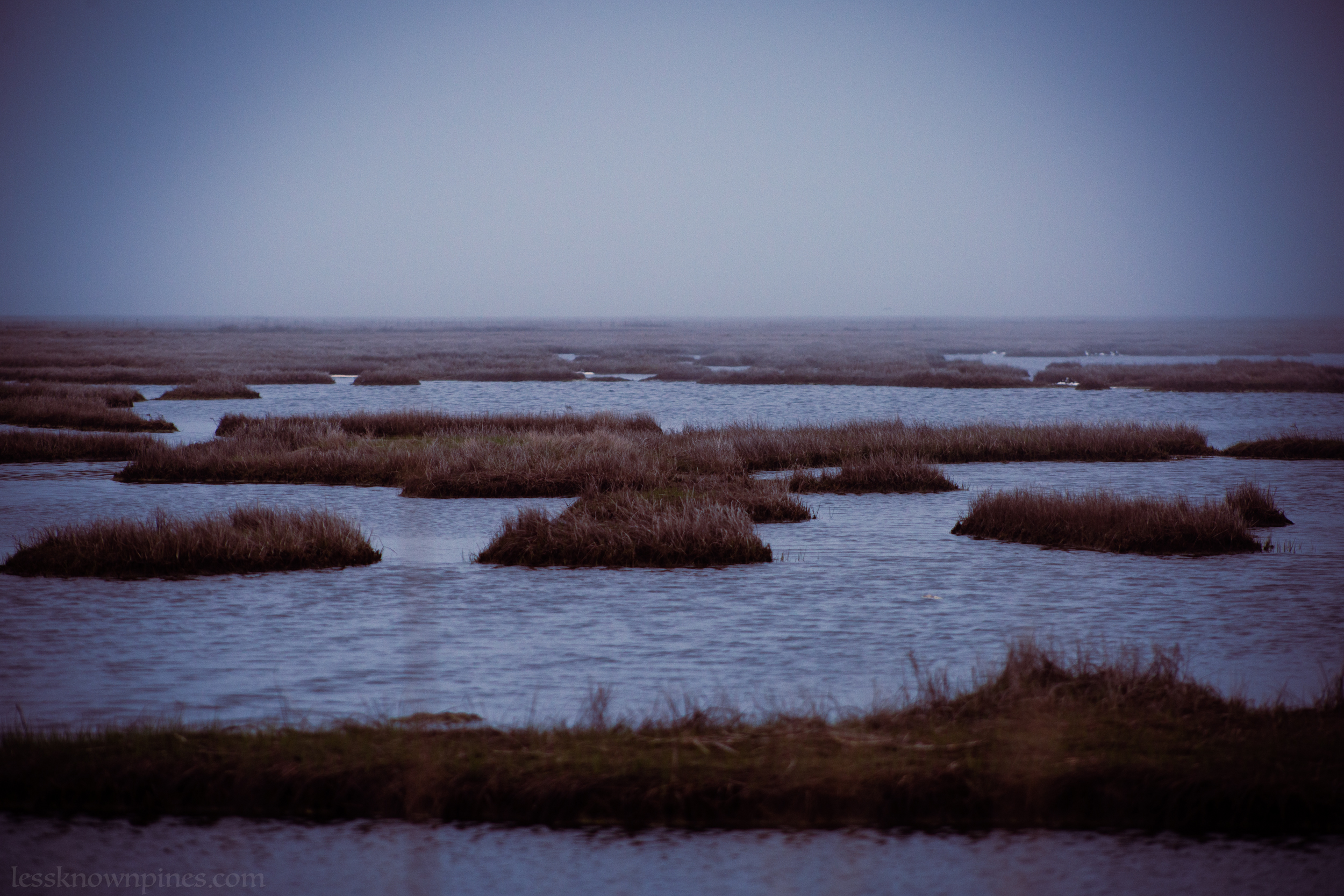 Great Bay marsh islands