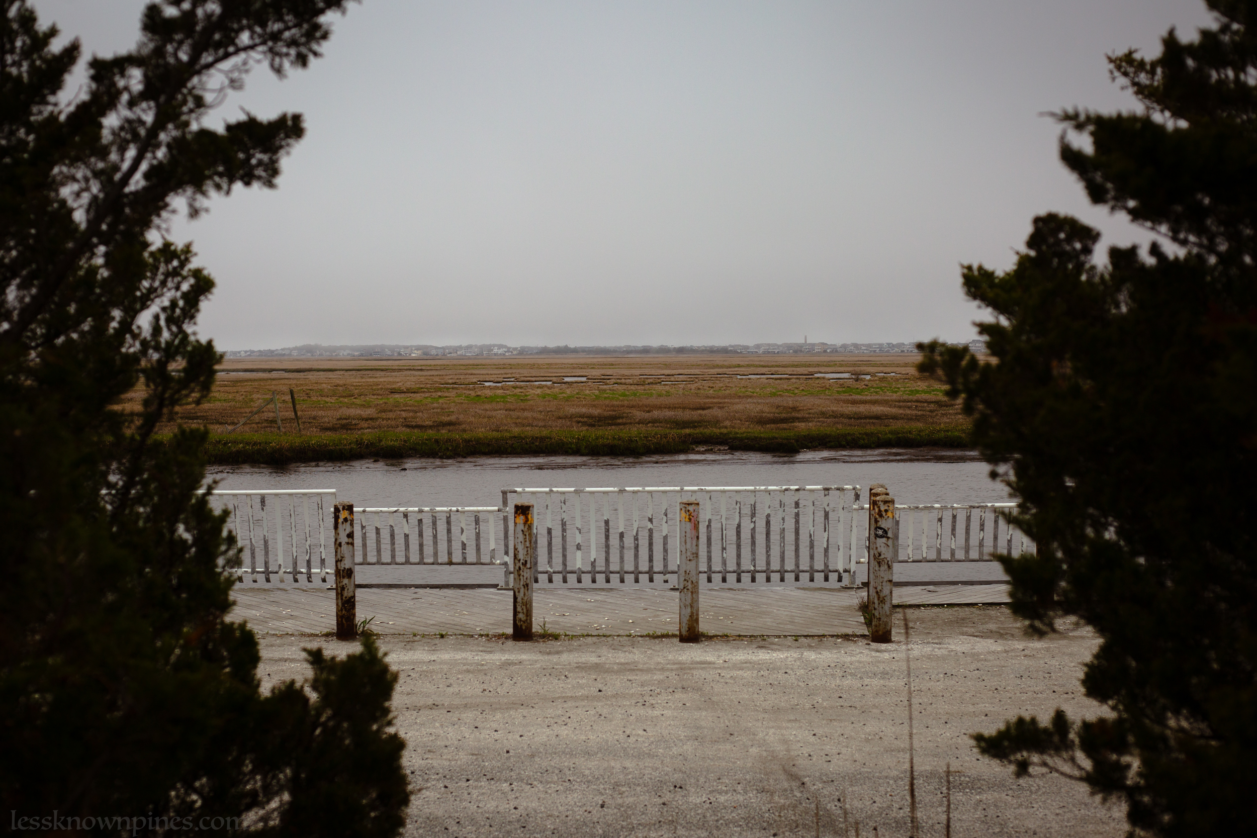 Great Bay marshland