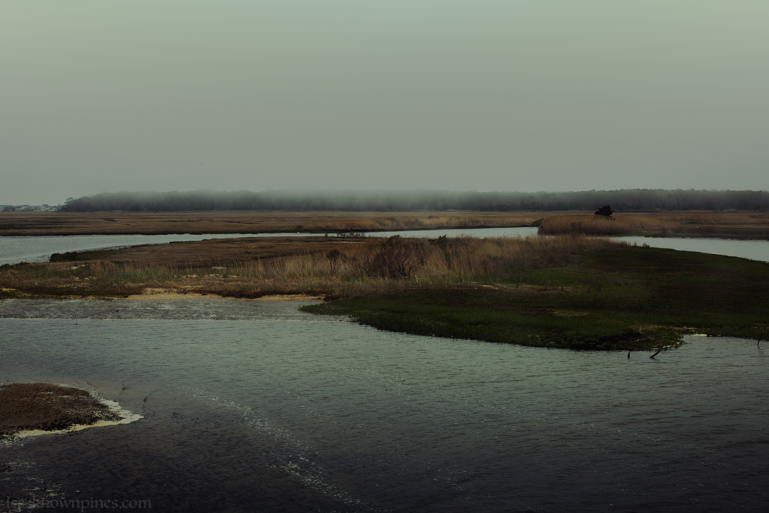 Top of Great Bay
