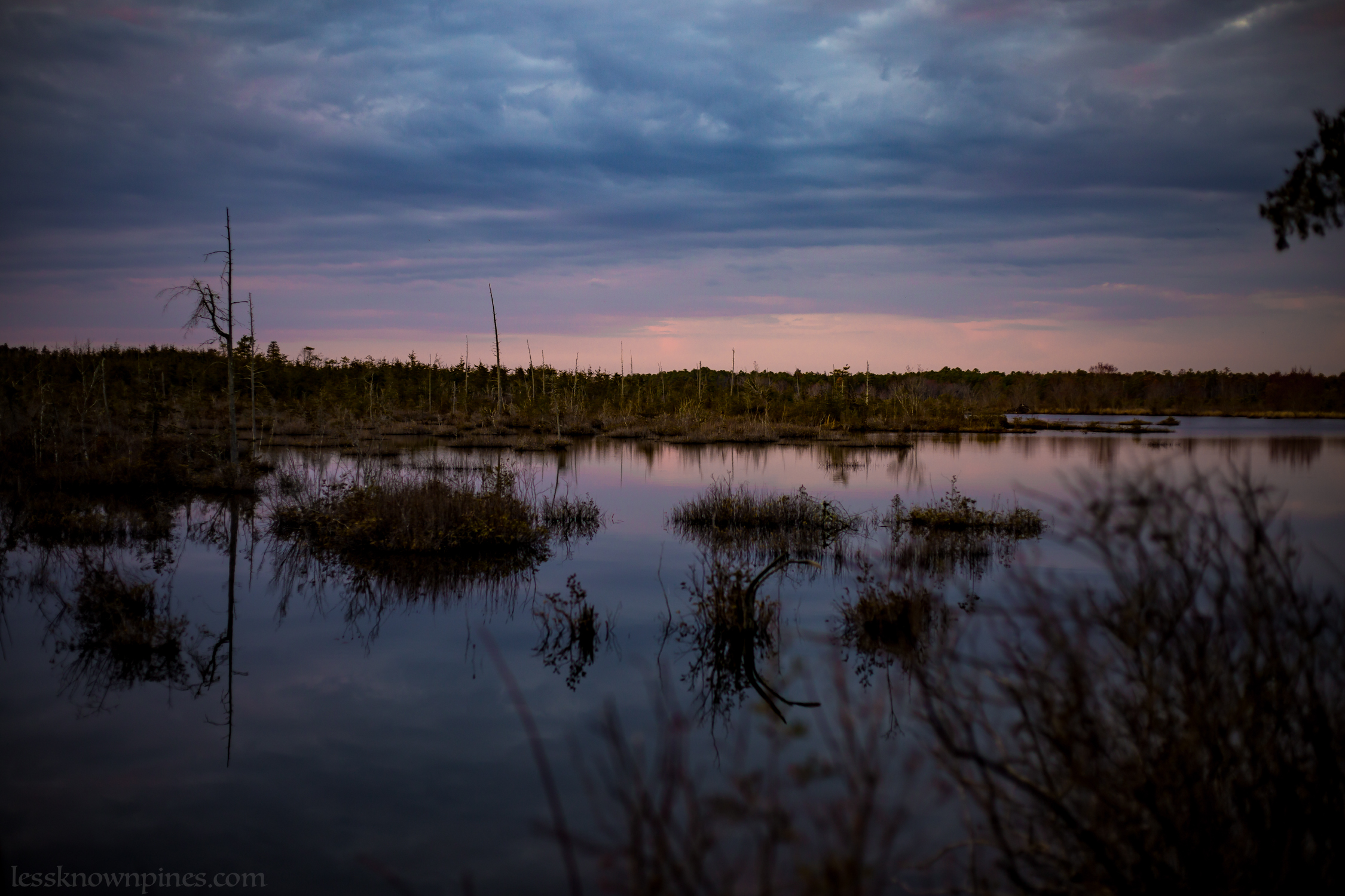 Wading Pond