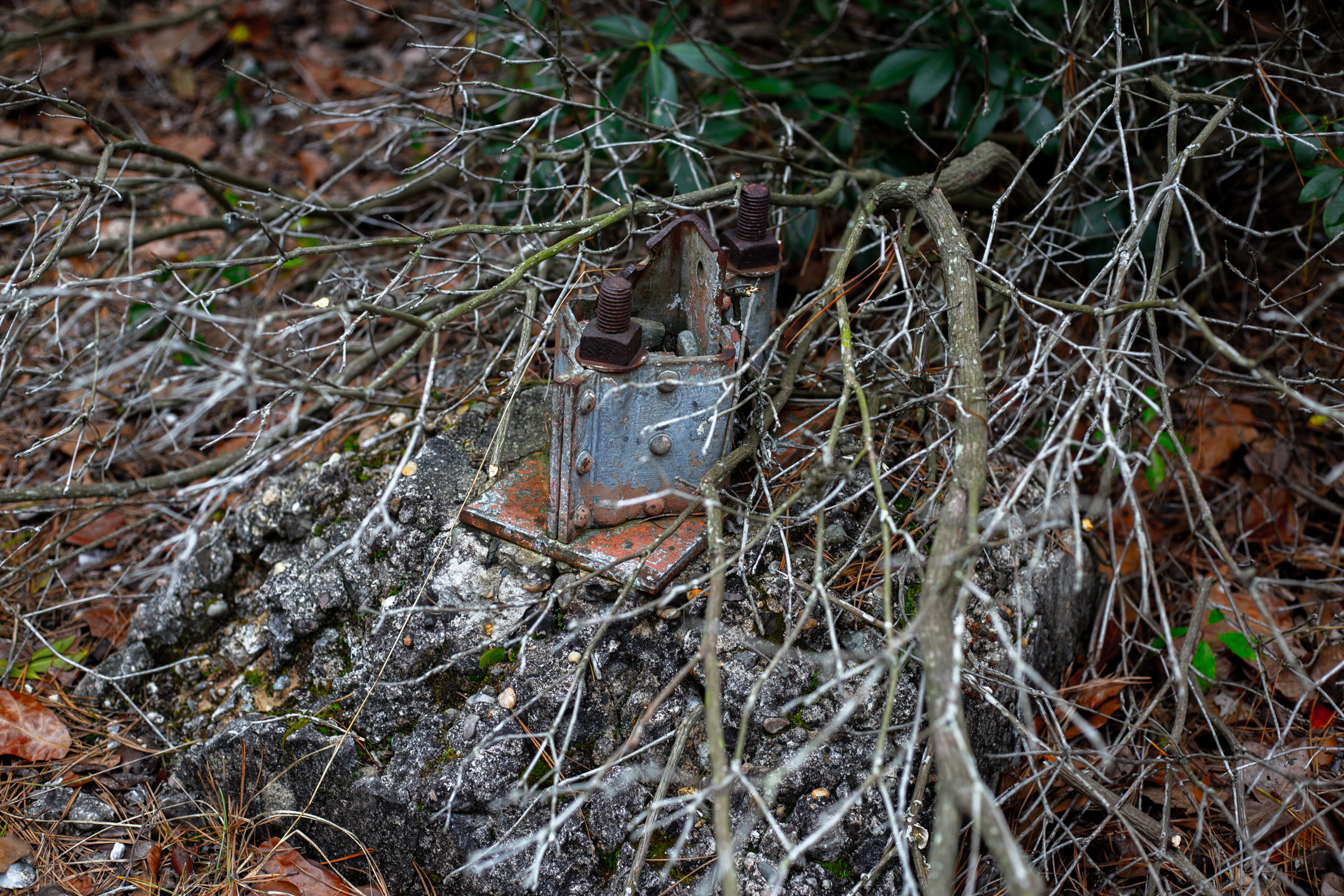 Memorial remains
