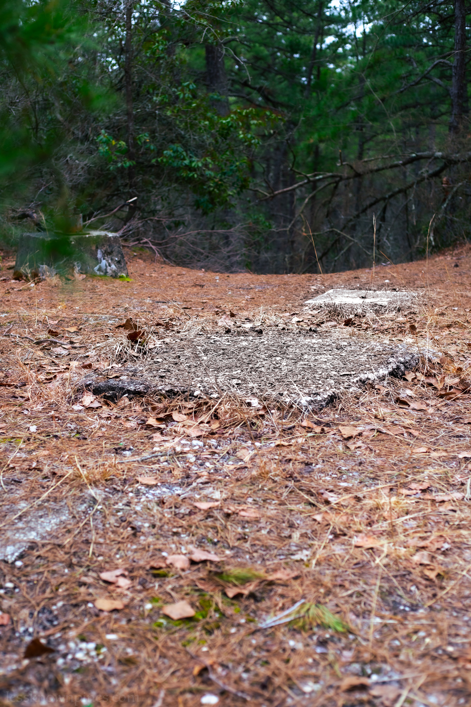 Stone remains