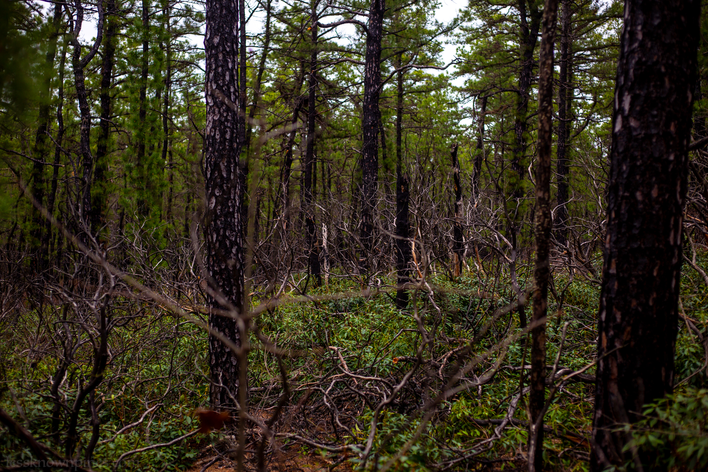 Surrounding area