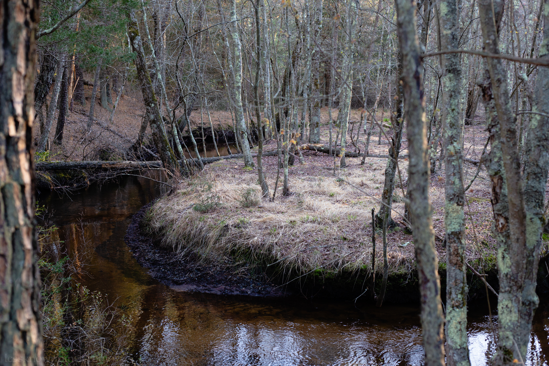 Batsto River stream
