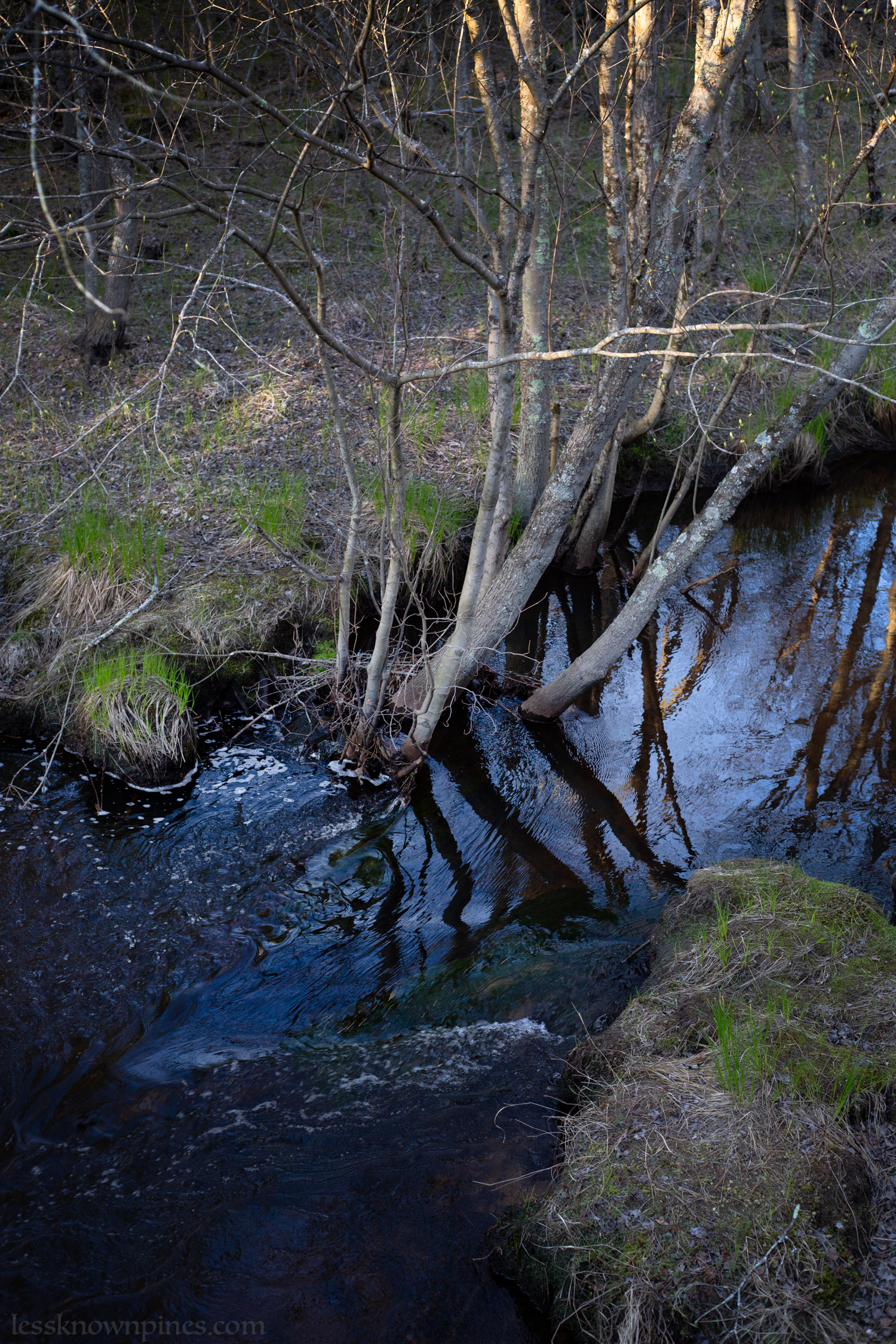 Flowing stream