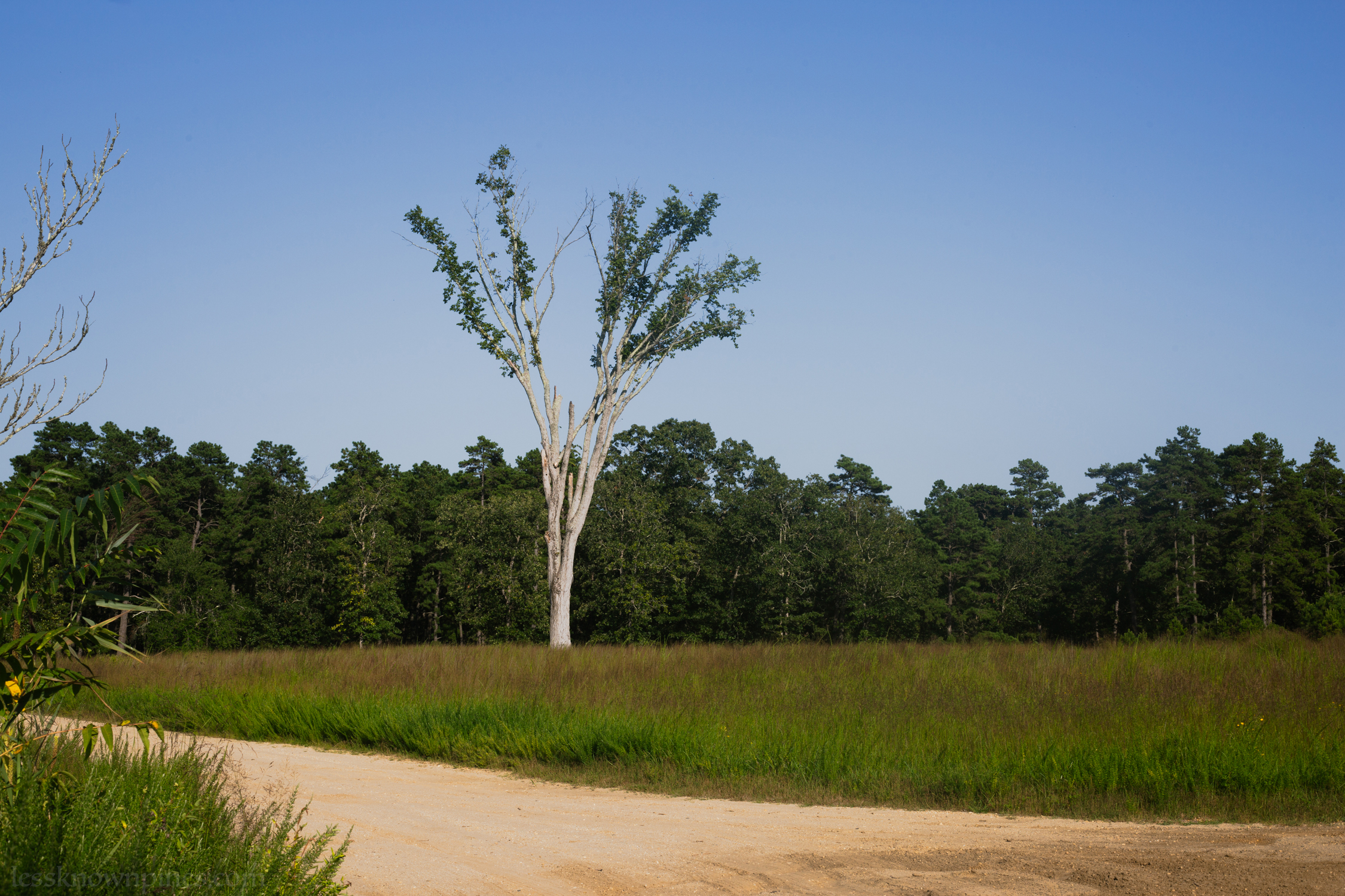 Friendship Historic Ruins thumbnail