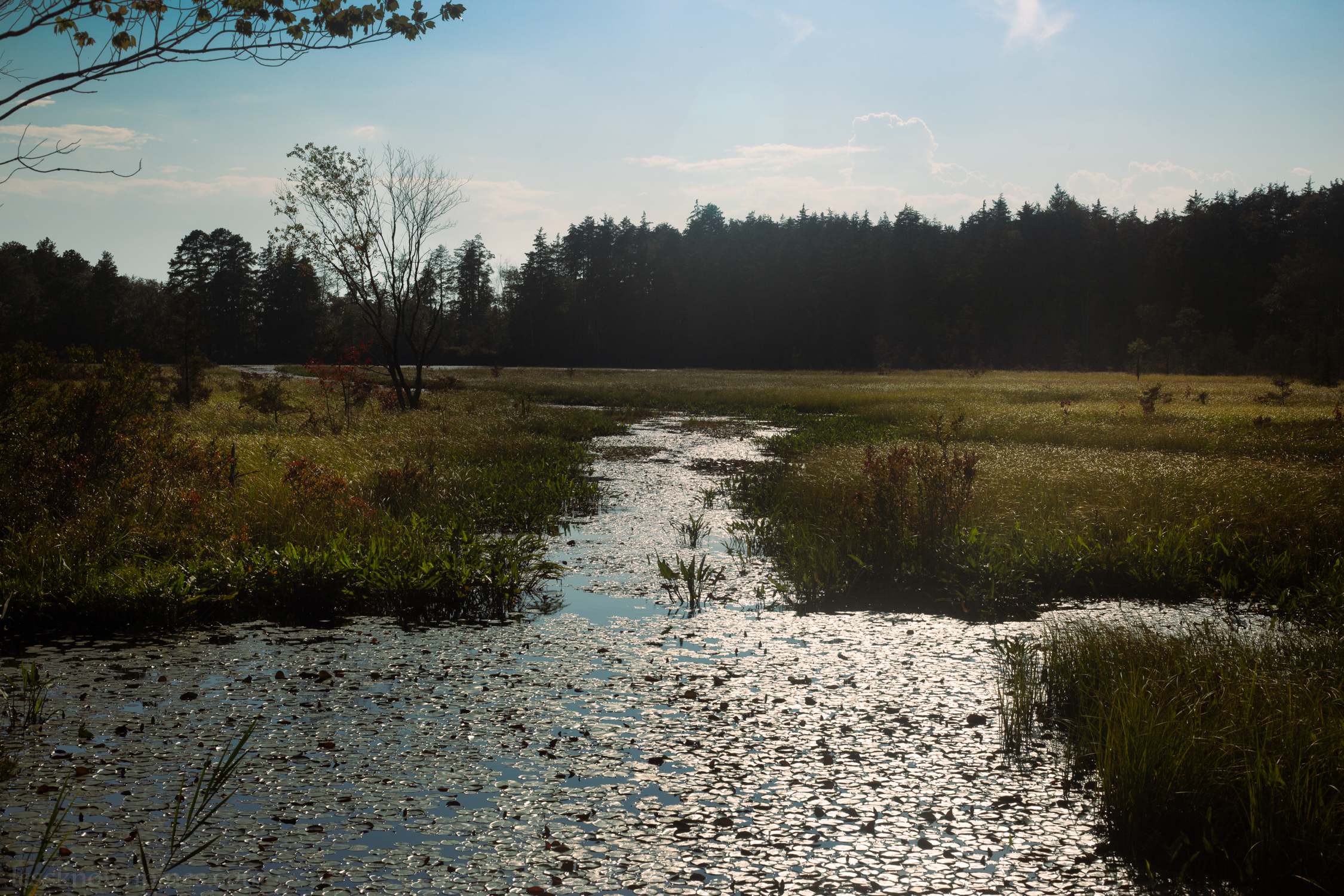 Irrigation canals