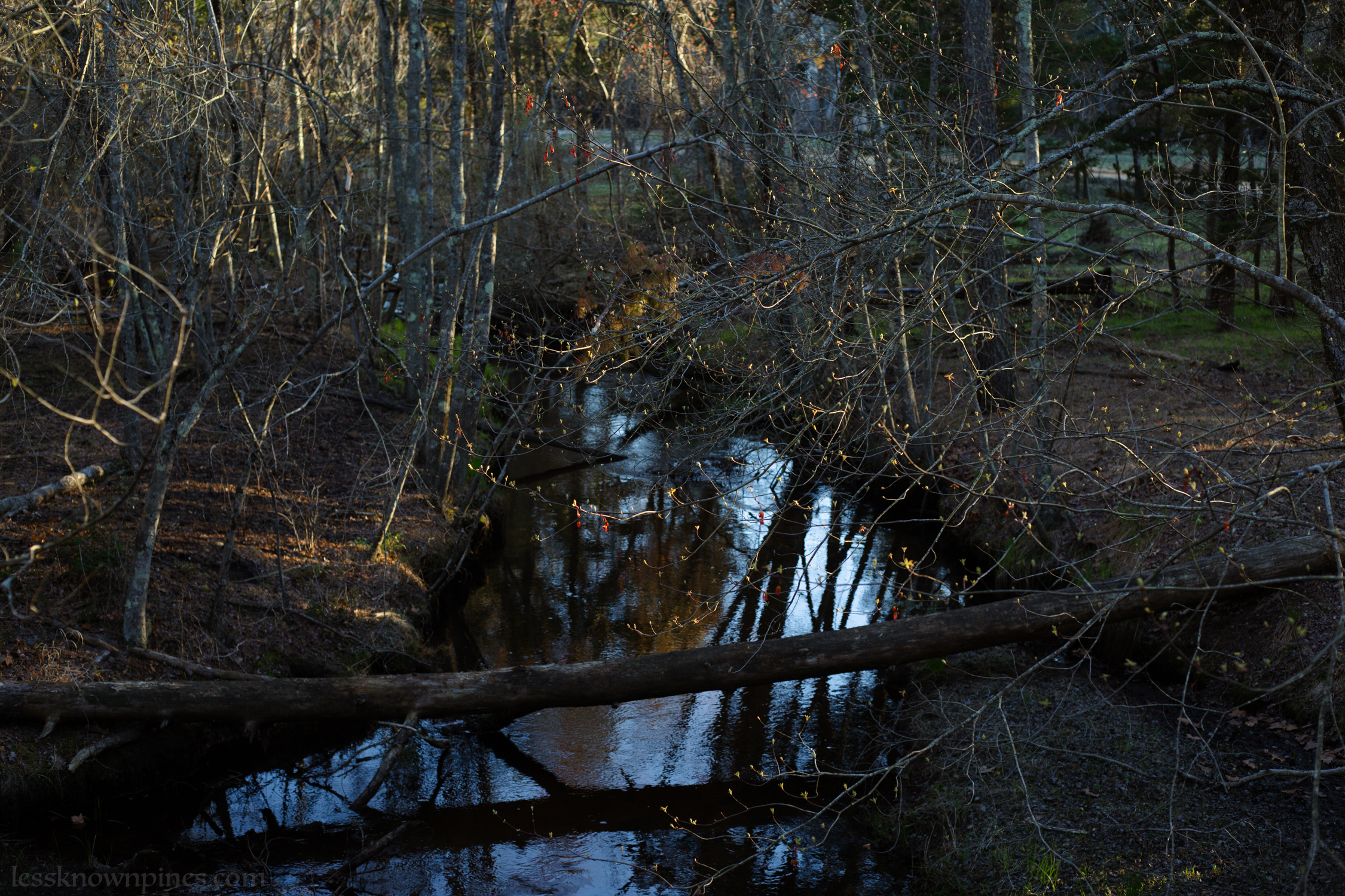 Hampton Furnace Bridge during spring