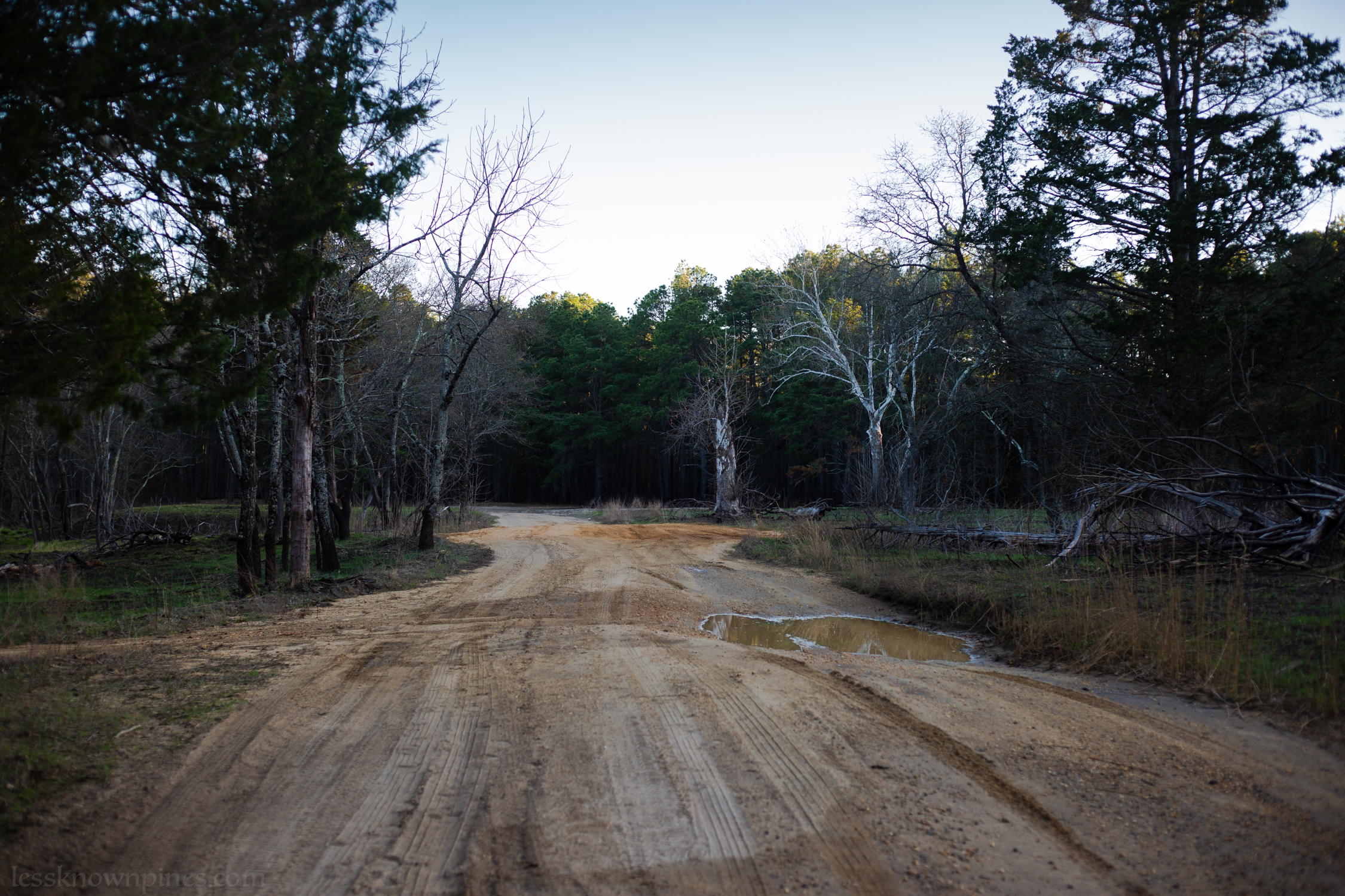 Hampton Furnace dirt road