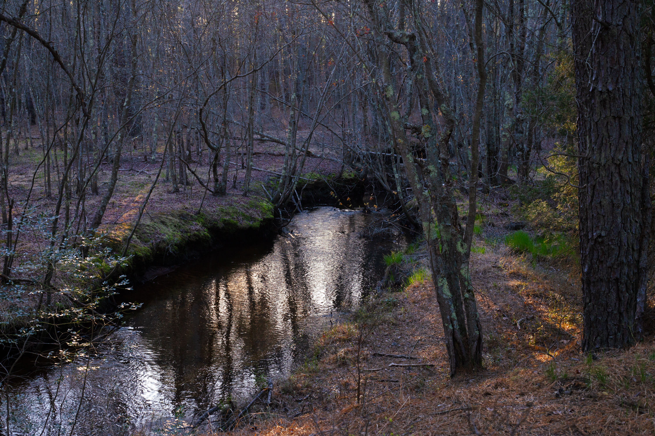 Hampton Furnace Bridge stream