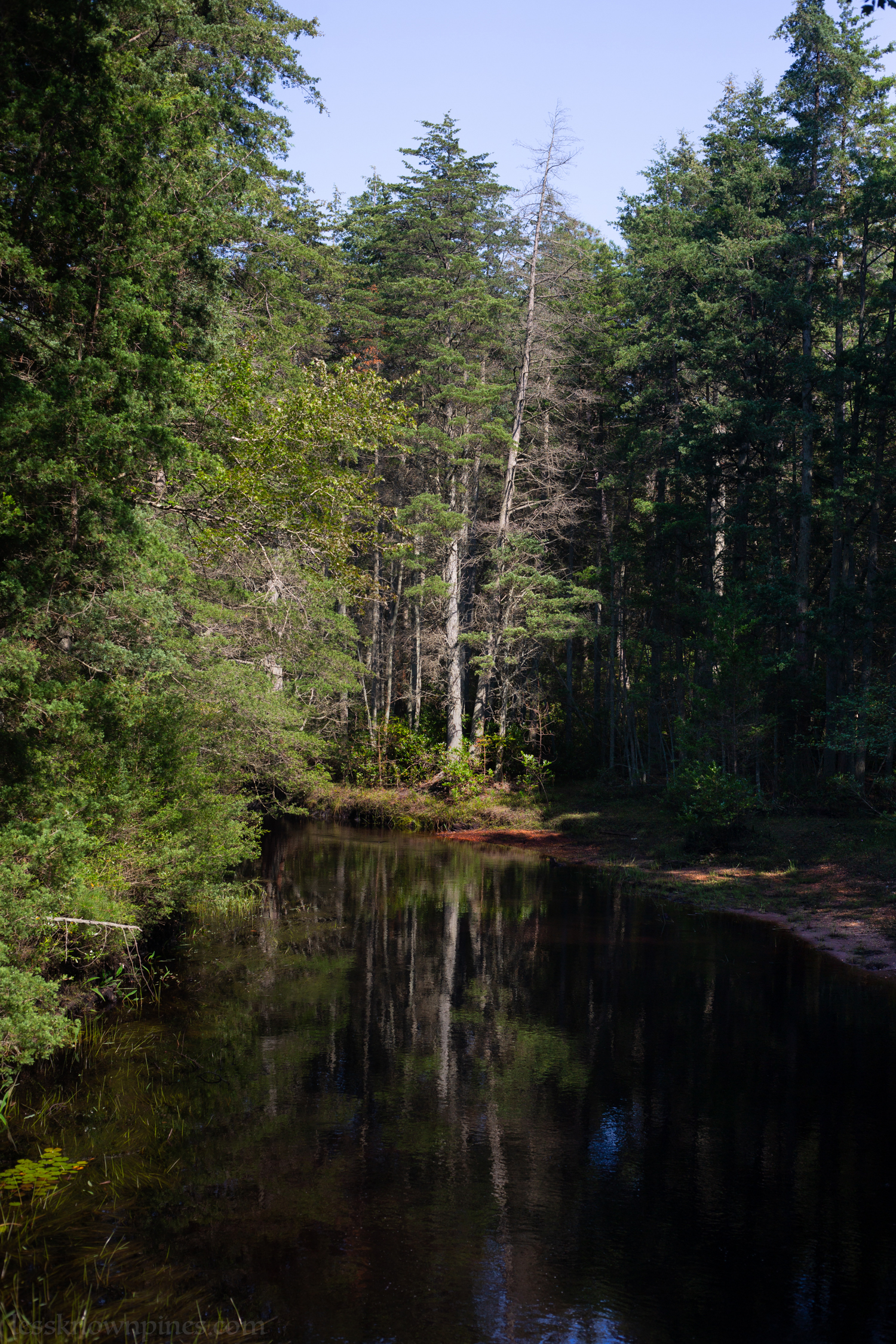 Hawkins Bridge pond canal