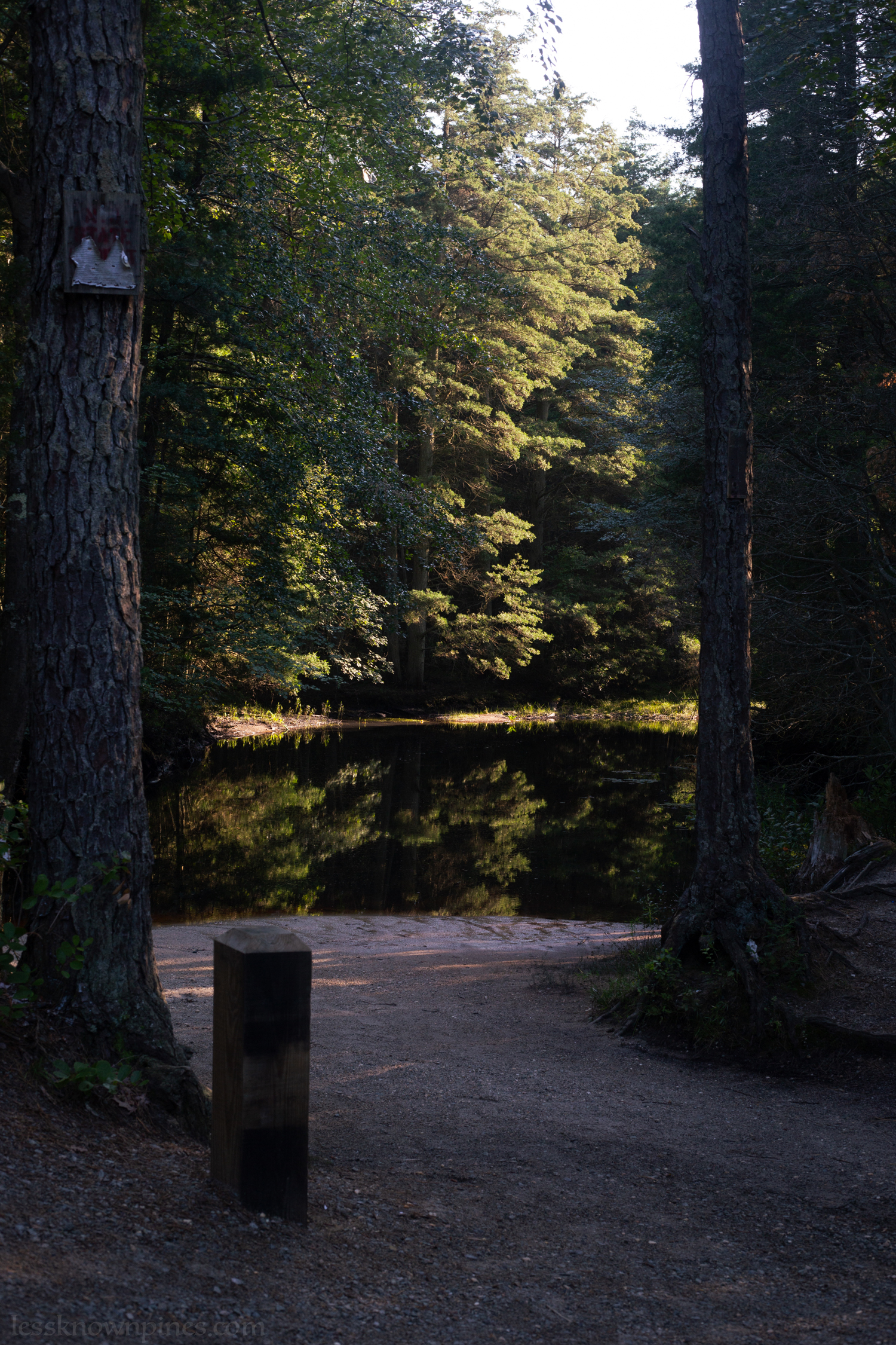 Hawkins Bridge pond-front