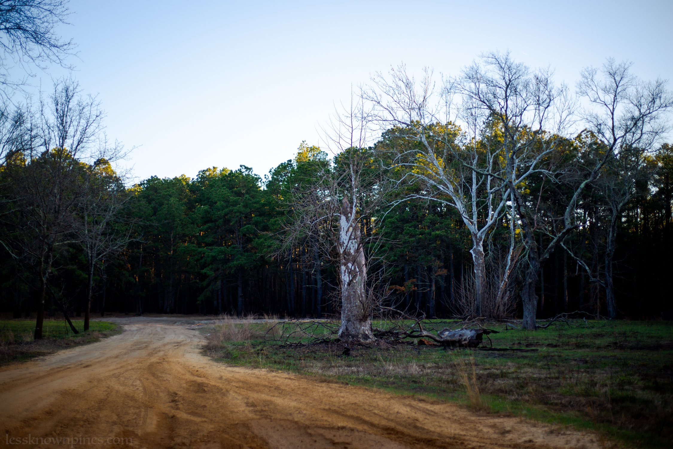 Mullica Bridge off-road area