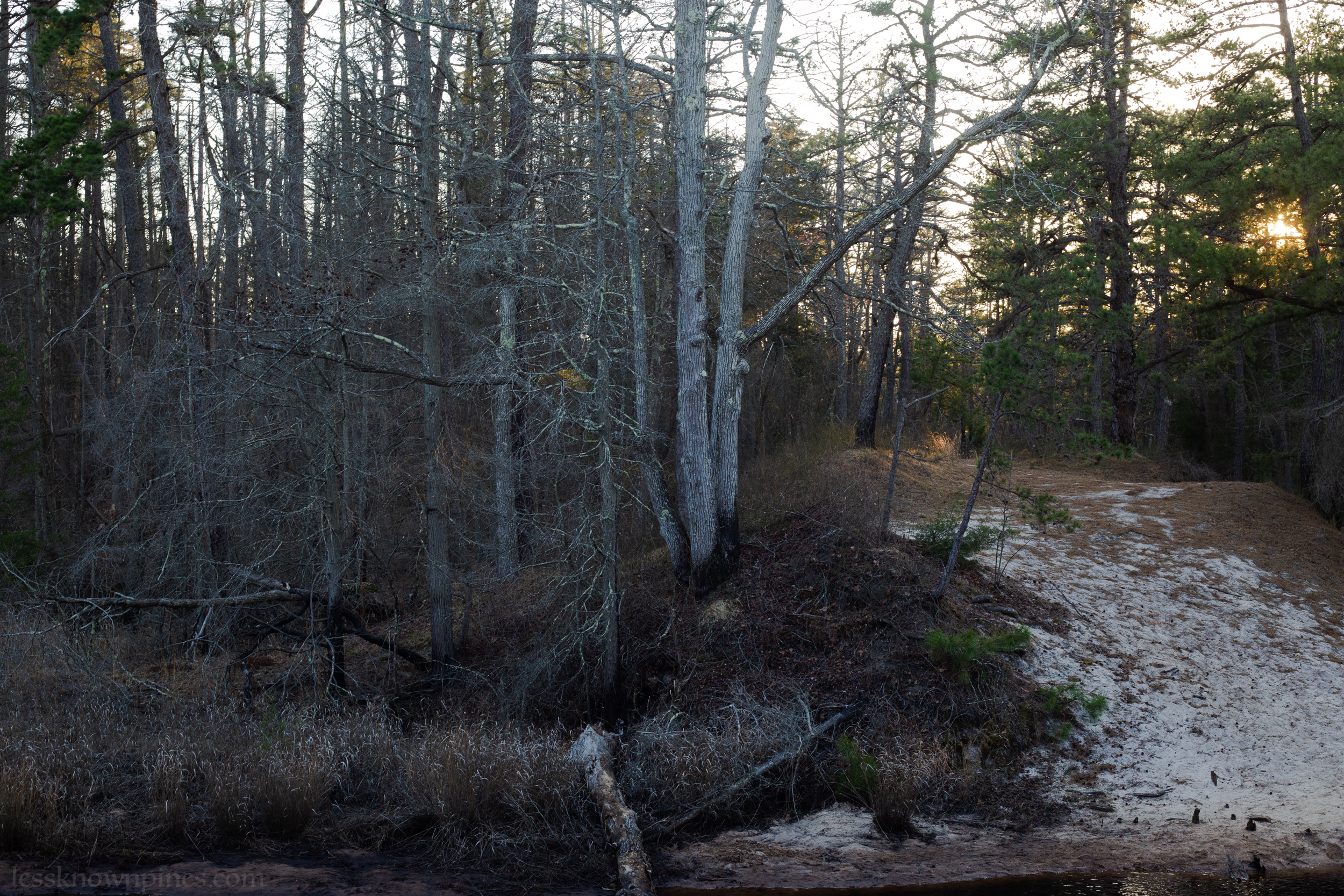 Dormant and living half