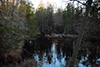 Mullica River thumbnail
