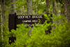 Godfrey Bridge Wharton state forest thumbnail